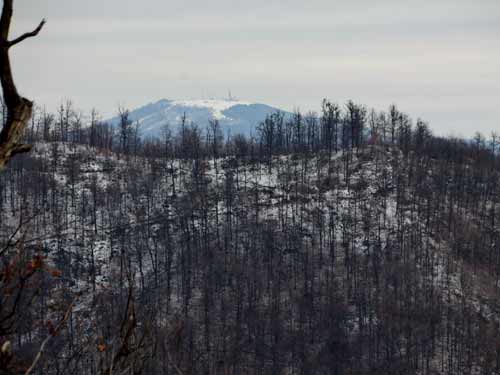 Foto dealul Crucii si varful Mogosa (c) Lucian Petru Goja